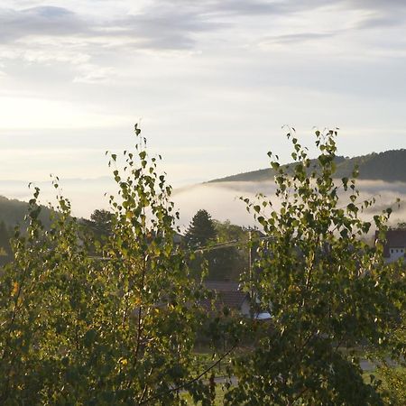 Gites Du Taennchel Thannenkirch Buitenkant foto
