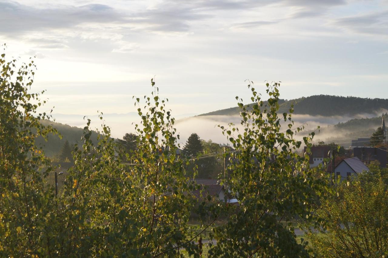 Gites Du Taennchel Thannenkirch Buitenkant foto